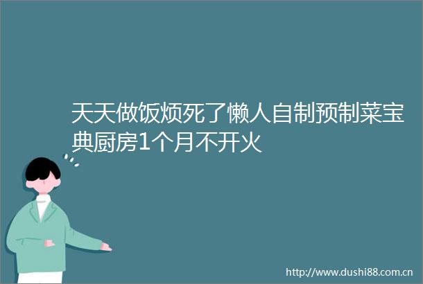 天天做饭烦死了懒人自制预制菜宝典厨房1个月不开火