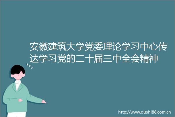 安徽建筑大学党委理论学习中心传达学习党的二十届三中全会精神