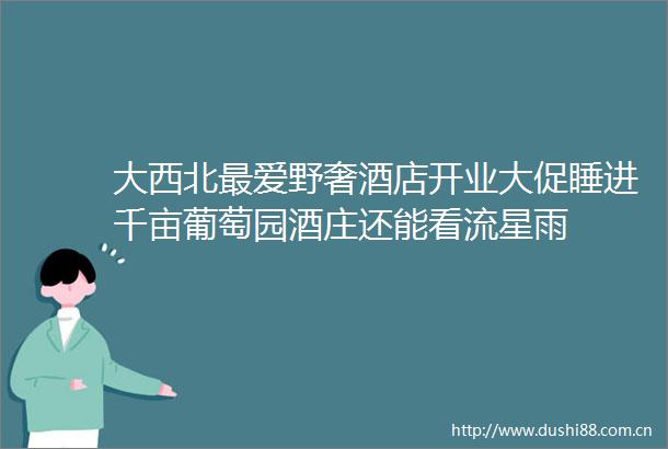 大西北最爱野奢酒店开业大促睡进千亩葡萄园酒庄还能看流星雨