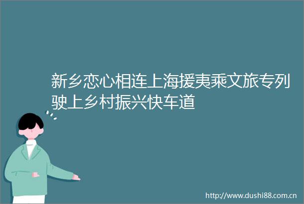 新乡恋心相连上海援夷乘文旅专列驶上乡村振兴快车道