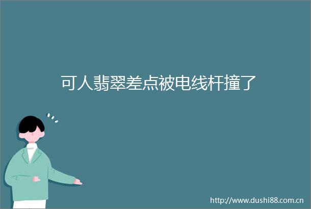 可人翡翠差点被电线杆撞了