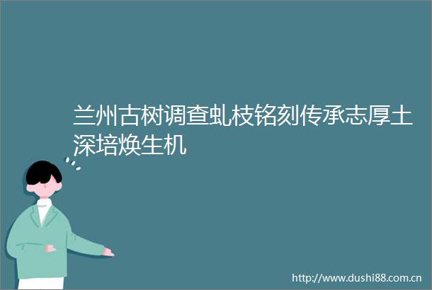 兰州古树调查虬枝铭刻传承志厚土深培焕生机