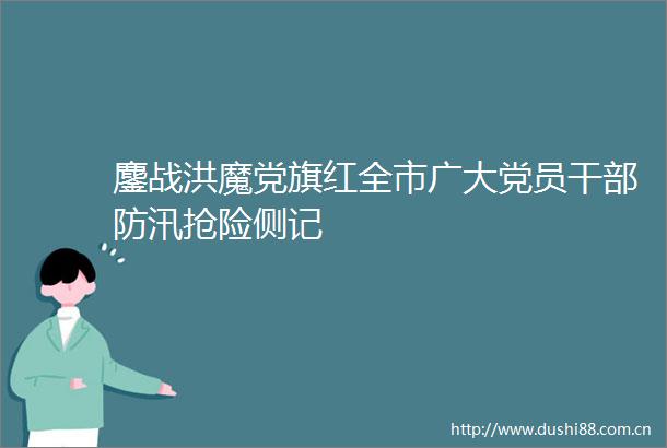 鏖战洪魔党旗红全市广大党员防汛抢险侧记