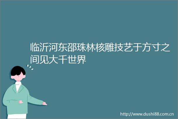 临沂河东邵珠林核雕技艺于方寸之间见大千世界