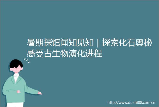 暑期探馆闻知见知｜探索化石奥秘感受古生物演化进程