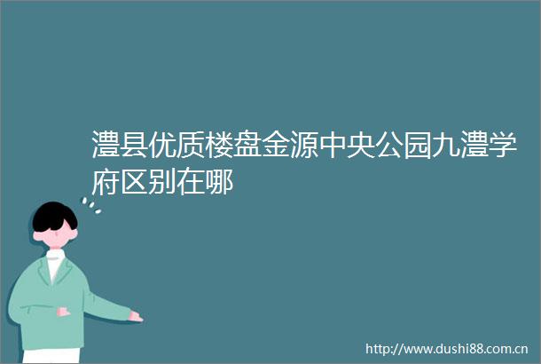 澧县优质楼盘金源中央公园九澧学府区别在哪