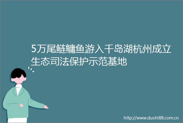 5万尾鲢鳙鱼游入千岛湖杭州成立生态司法保护示范基地