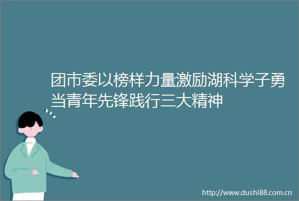 团市委以榜样力量激励湖科学子勇当青年先锋践行三大精神