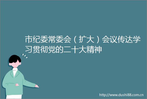 市纪委常委会（扩大）会议传达学习贯彻党的二十大精神