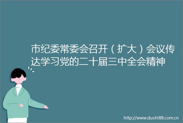 市纪委常委会召开（扩大）会议传达学习党的二十届三中全会精神