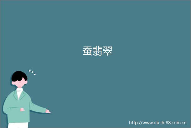 蚕翡翠