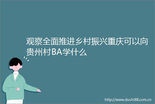 观察全面推进乡村振兴重庆可以向贵州村BA学什么