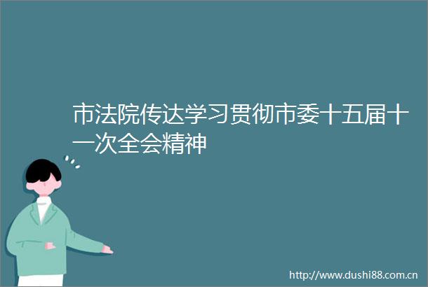 市传达学习贯彻市委十五届十一次全会精神