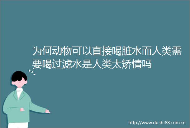 为何动物可以直接喝脏水而人类需要喝过滤水是人类太矫情吗