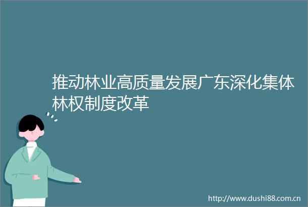 推动林业高质量发展广东深化集体林权制度改革