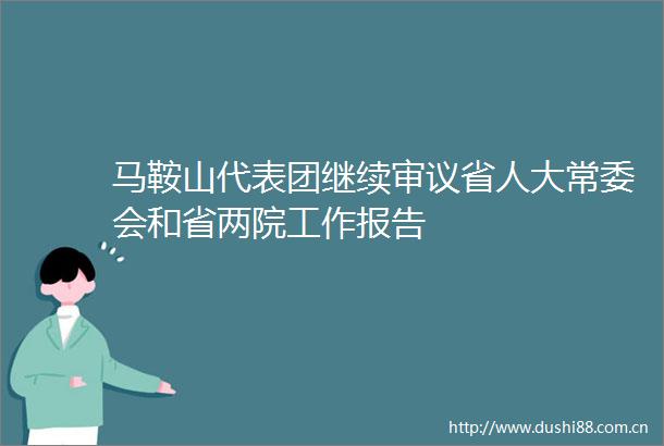 马鞍山代表团继续审议省人大常委会和省两院工作报告