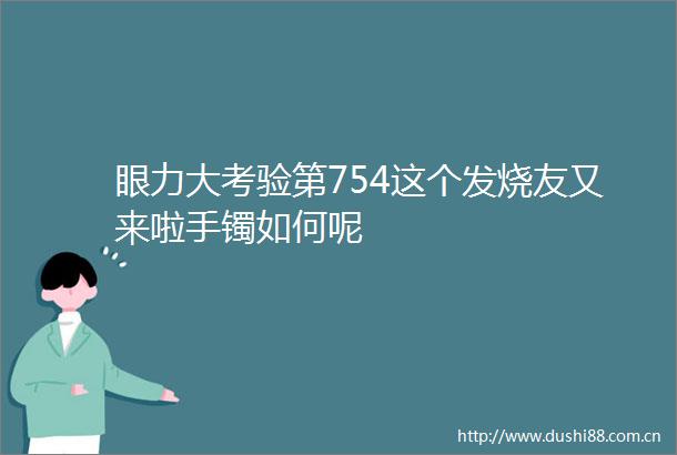 眼力大考验第754这个发烧友又来啦手镯如何呢