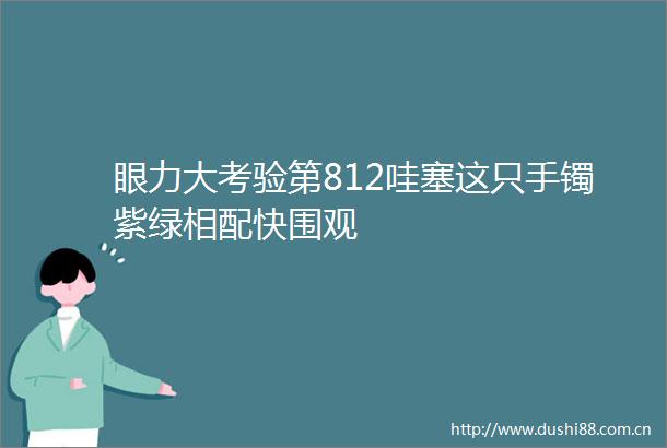 眼力大考验第812哇塞这只手镯紫绿相配快围观