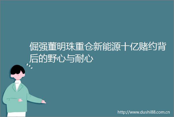 倔强董明珠重仓新能源十亿赌约背后的野心与耐心