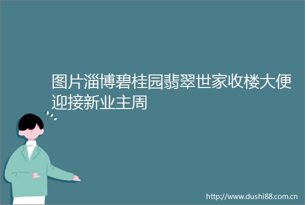 图片淄博碧桂园翡翠世家收楼大便迎接新业主周