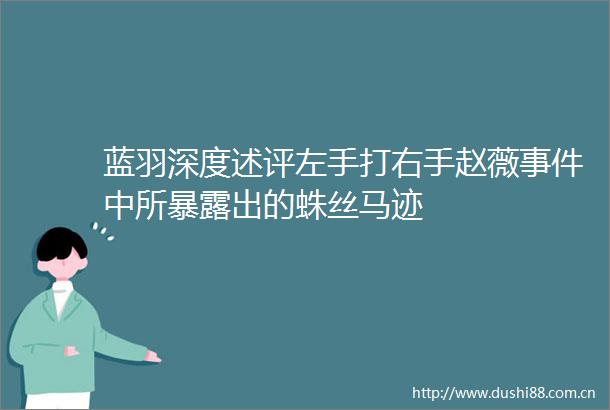 蓝羽深度述评左手打右手赵薇中所出的蛛丝马迹