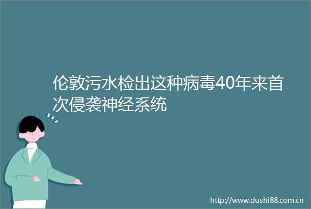 伦敦污水检出这种病毒40年来首次侵袭神经系统