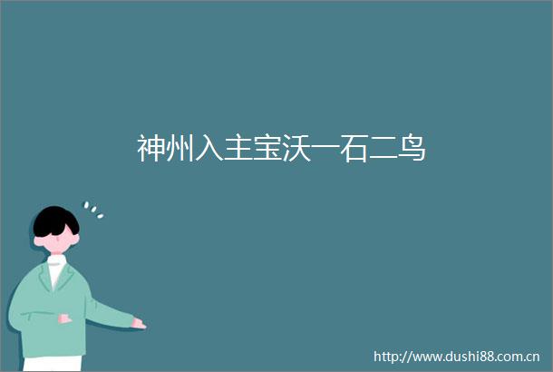 神州入主宝沃一石二鸟