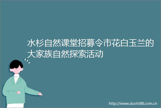 水杉自然课堂招募令市花白玉兰的大家族自然探索活动