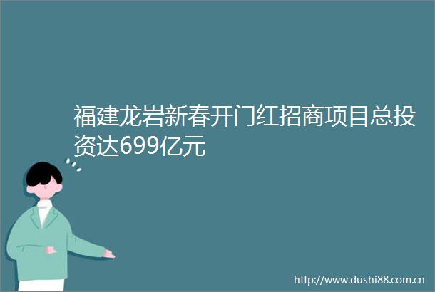 福建龙岩新春开门红招商项目总投资达699亿元