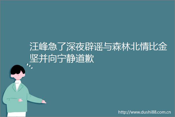 汪峰急了深夜辟谣与森林北情比金坚并向宁静道歉