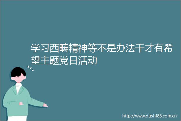 学习西畴精神等不是办法干才有希望主题党日活动
