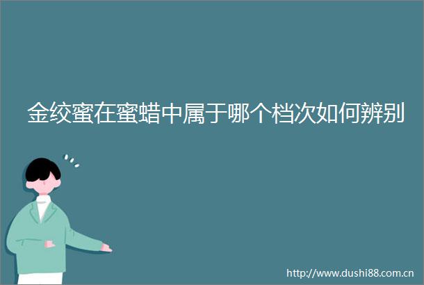 金绞蜜在蜜蜡中属于哪个档次如何辨别