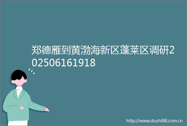 郑德雁到黄渤海新区蓬莱区调研202506161918
