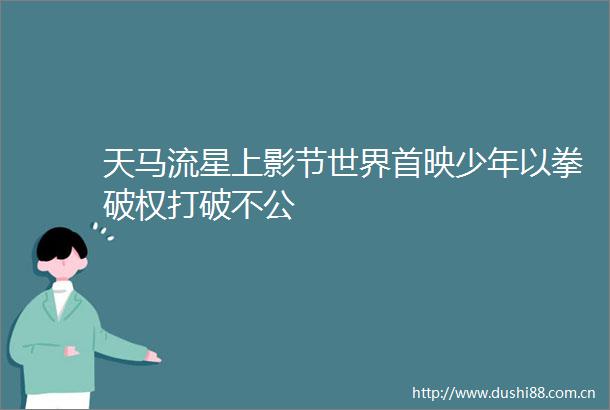天马流星上影节世界首映少年以拳破权打破不公