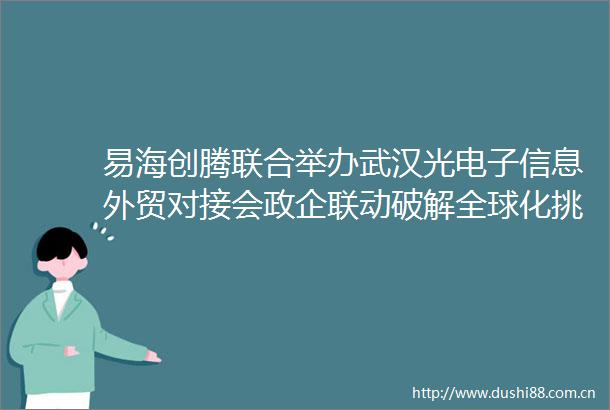 易海创腾联合举办武汉光电子信息外贸对接会政企联动破解全球化挑战