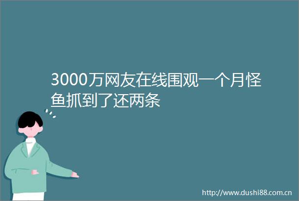 3000万网友在线围观一个月怪鱼抓到了还两条