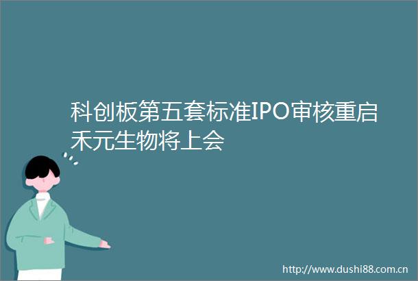 科创板第五套标准IPO审核重启禾元生物将上会