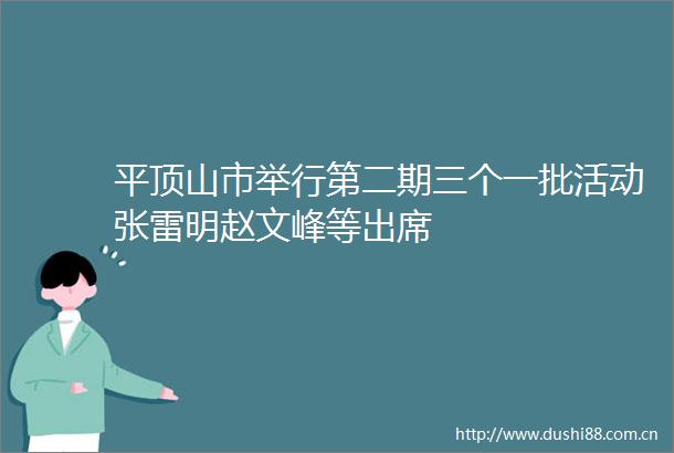 平顶山市举行第二期三个一批活动张雷明赵文峰等出席