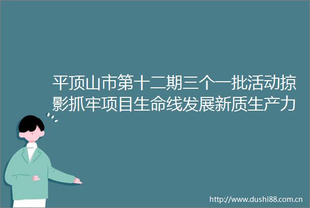 平顶山市第十二期三个一批活动掠影抓牢项目生命线发展新质生产力