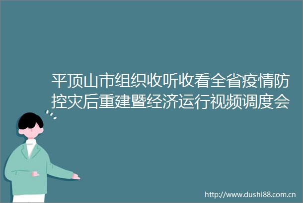平顶山市组织收听收看全省疫情防控灾后重建暨经济运行视频调度会议