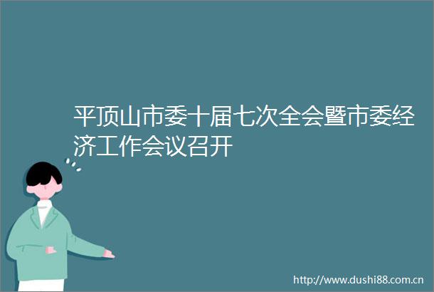 平顶山市委十届七次全会暨市委经济工作会议召开