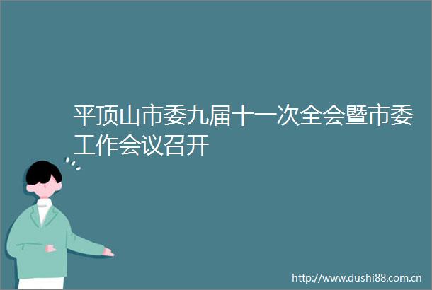平顶山市委九届十一次全会暨市委工作会议召开
