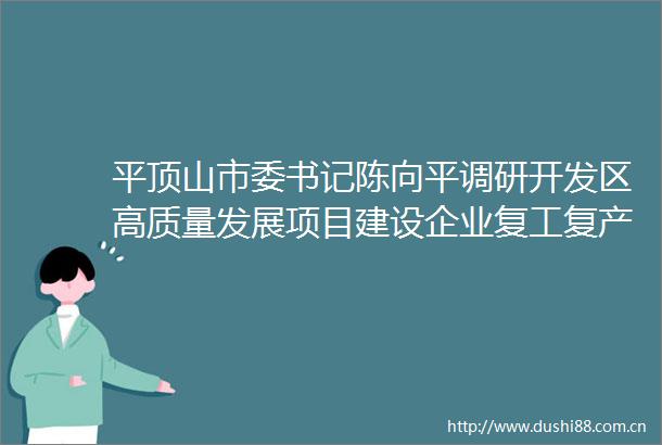 平顶山市委书记陈向平调研开发区高质量发展项目建设企业复工复产和一季度开门红等工作