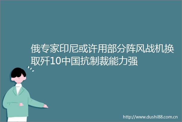 俄专家印尼或许用部分阵风战机换取歼10抗制裁能力强
