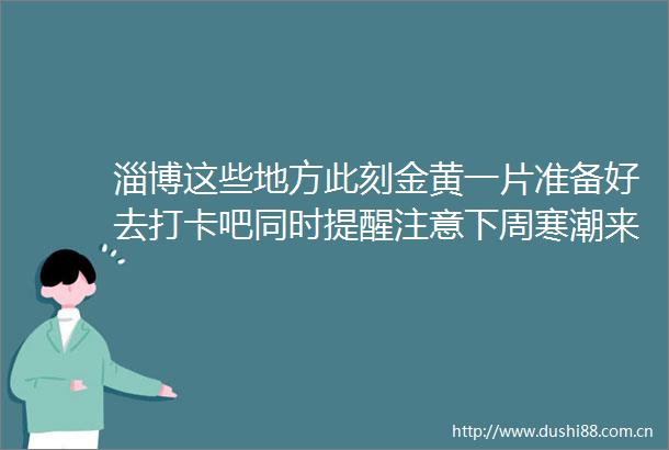 淄博这些地方此刻金黄一片准备好去打卡吧同时提醒注意下周寒潮来袭helliphellip