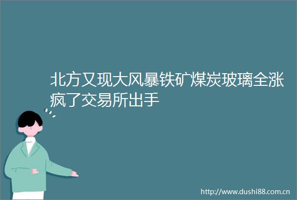 北方又现大风暴铁矿煤炭玻璃全涨疯了交易所出手