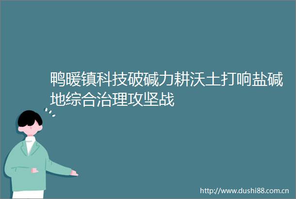 鸭暖镇科技破碱力耕沃土打响盐碱地综合治理攻坚战