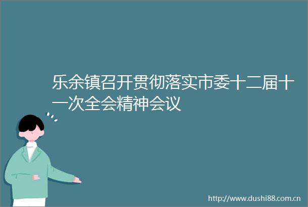 乐余镇召开贯彻落实市委十二届十一次全会精神会议
