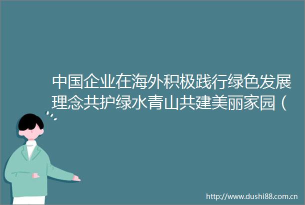 企业在海外积极践行绿色发展理念共护绿水青山共建美丽家园（央企走出去绿色发展）