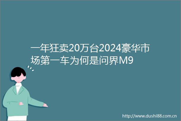 一年狂卖20万台2024豪华市场第一车为何是问界M9